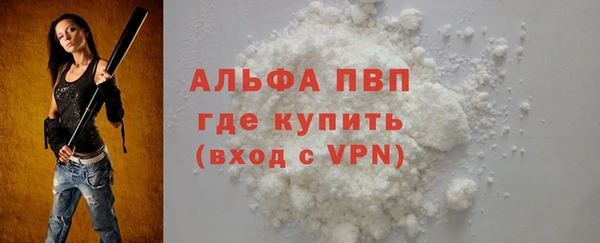 индика Алексин