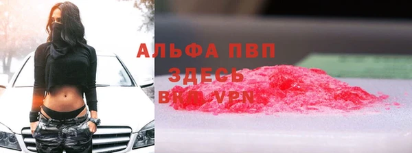 индика Алексин