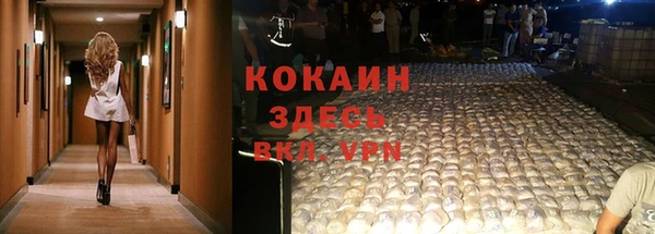 индика Алексин