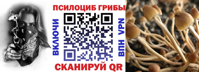 Галлюциногенные грибы ЛСД  Абдулино 